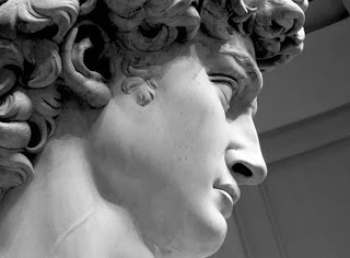 David-volto-blocco-di-marmo-Firenze-Michelangelo